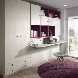 Habitación Juvenil Abatible 109